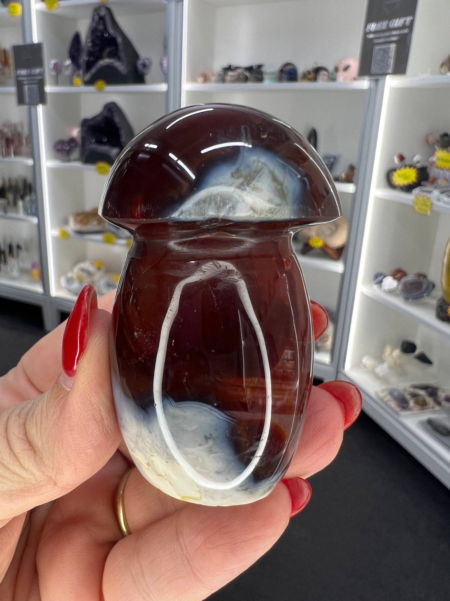 Carnelian Mushroom