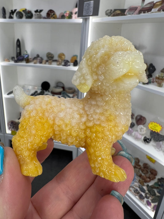 Luminous Dog (Glow in the Dark)