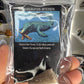 Mosasaurus Anceps Tooth