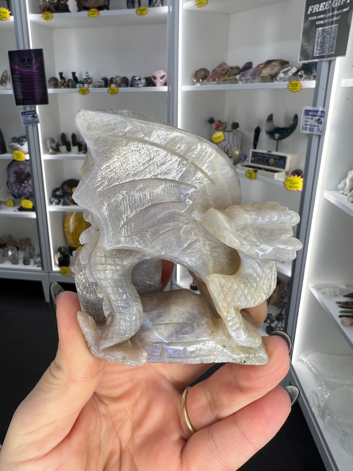 Moonstone Dragon on Castle