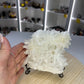 Clear Quartz Cluster on Stand
