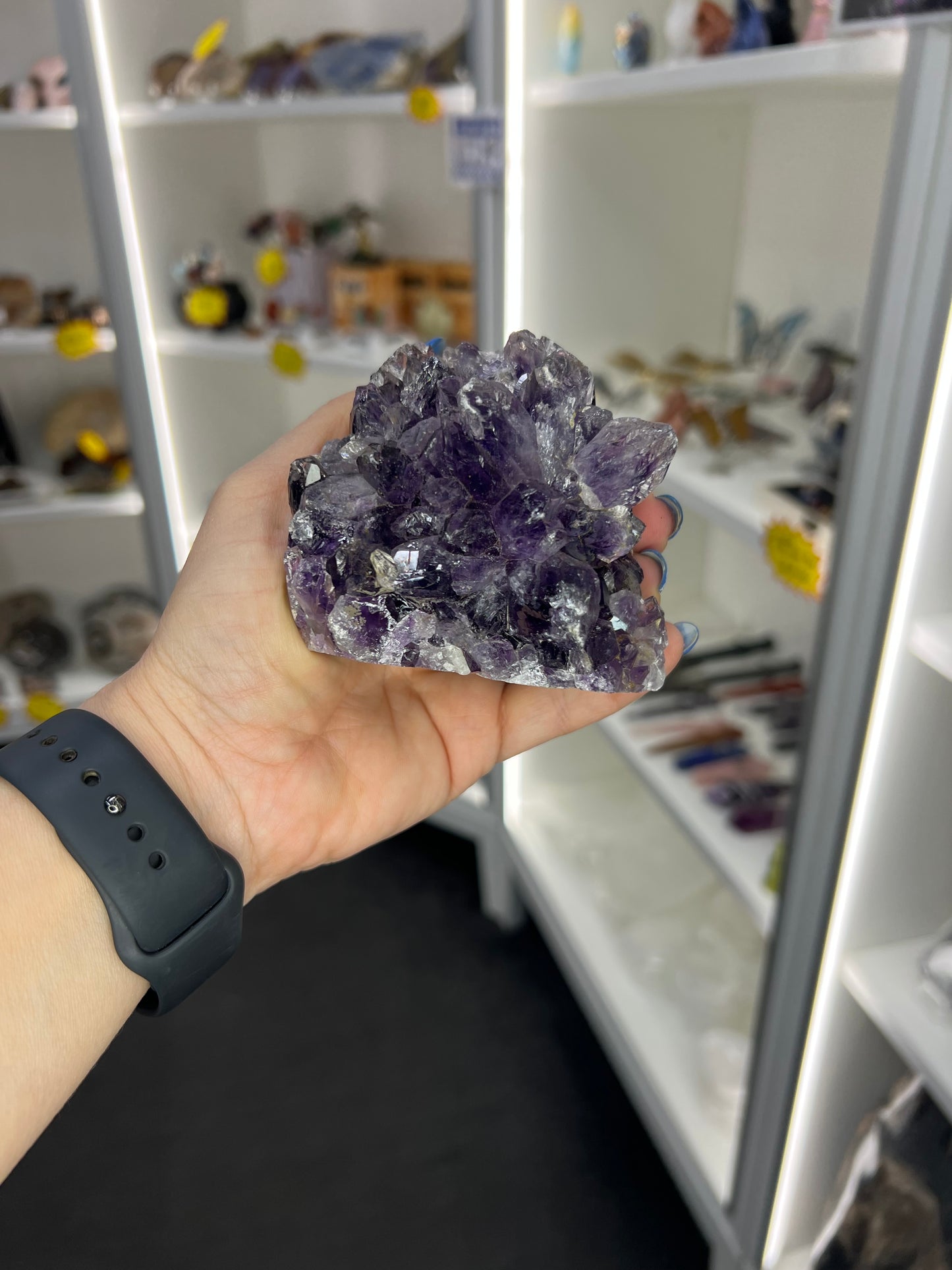 Amethyst Cluster Specimen
