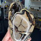 Septarian Freeform