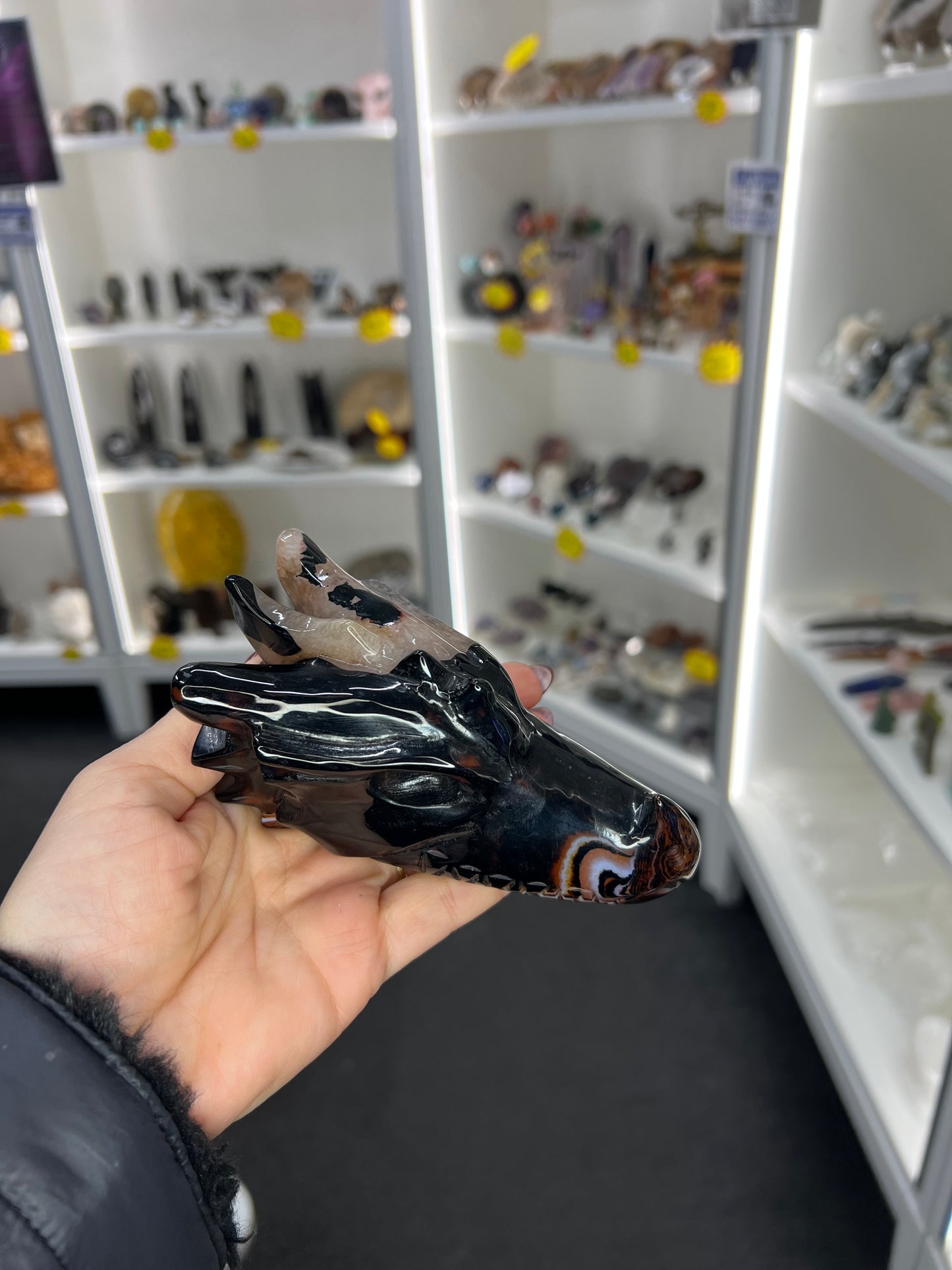 Sardonyx Dragon Skull