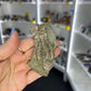 Jimbacriinus Bostocki Crinoid in Matrix