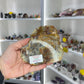 Dinosaur Poo / Coprolite
