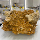 Huge Gypsum Specimen