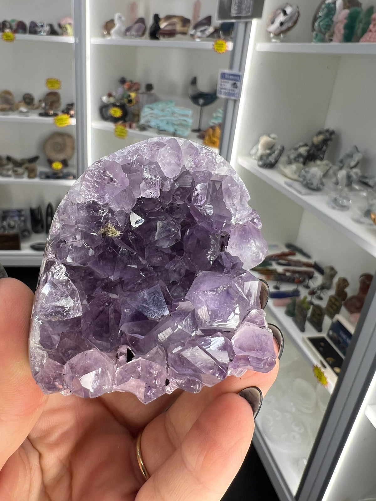Amethyst Cluster Specimen