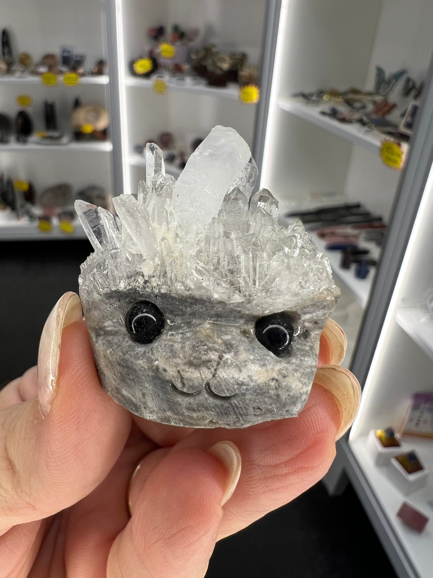 Clear Quartz Cluster Little Guy