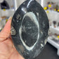Orthoceras Plate