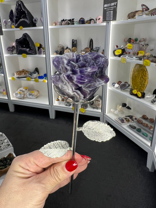 Chevron / Dream Amethyst Forever Rose
