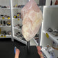 Rose Quartz Point on Stand