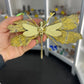 Aura Kyanite Dragonfly