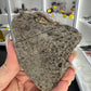 Spirit Quartz Specimen