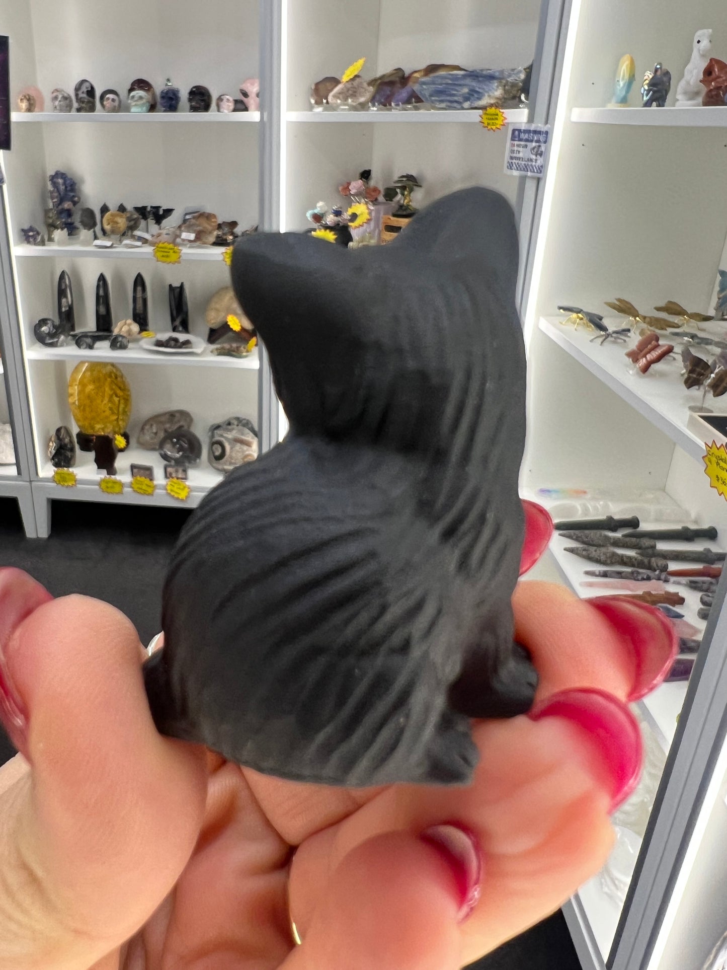 Black Obsidian Cat
