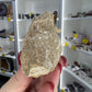 Monasaur Tooth in Matrix