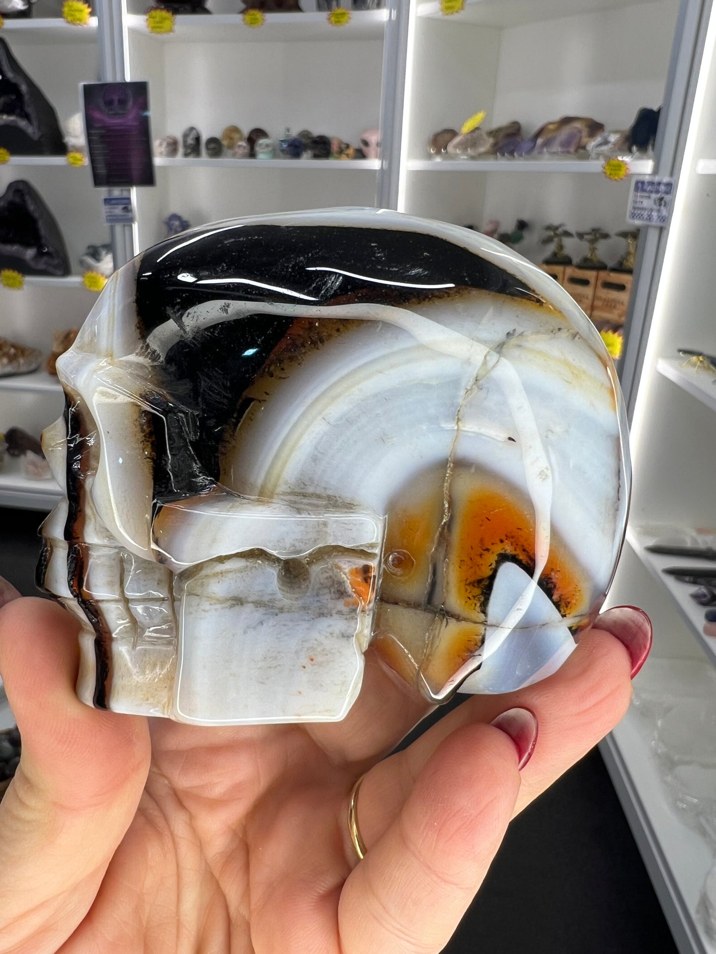 Sardonyx Skull