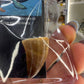 Mosasaurus Anceps Tooth