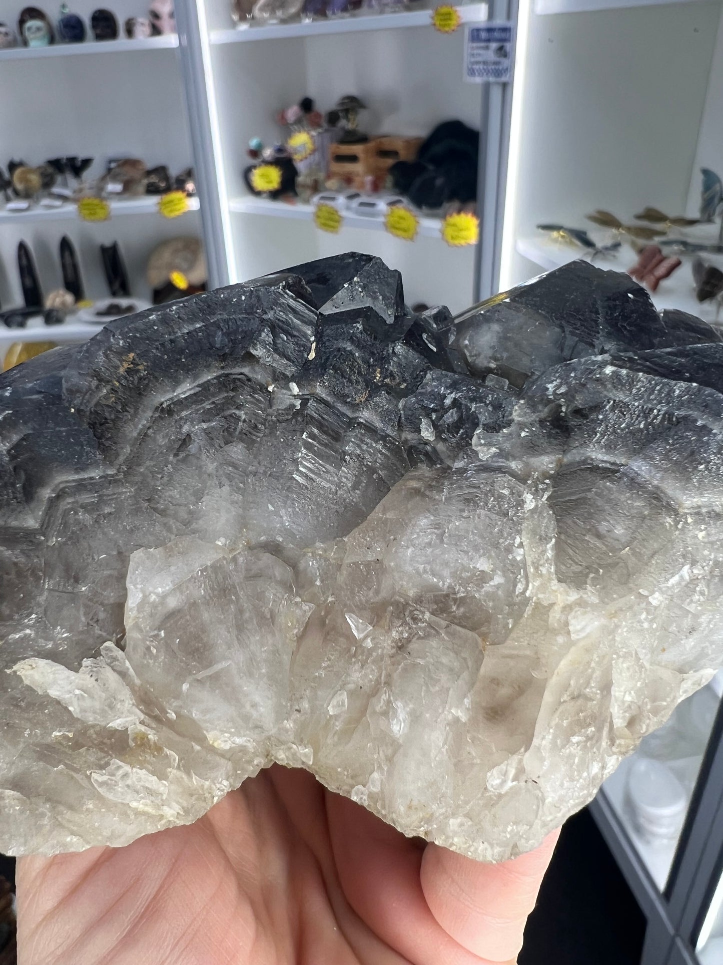 Black Quartz Cluster