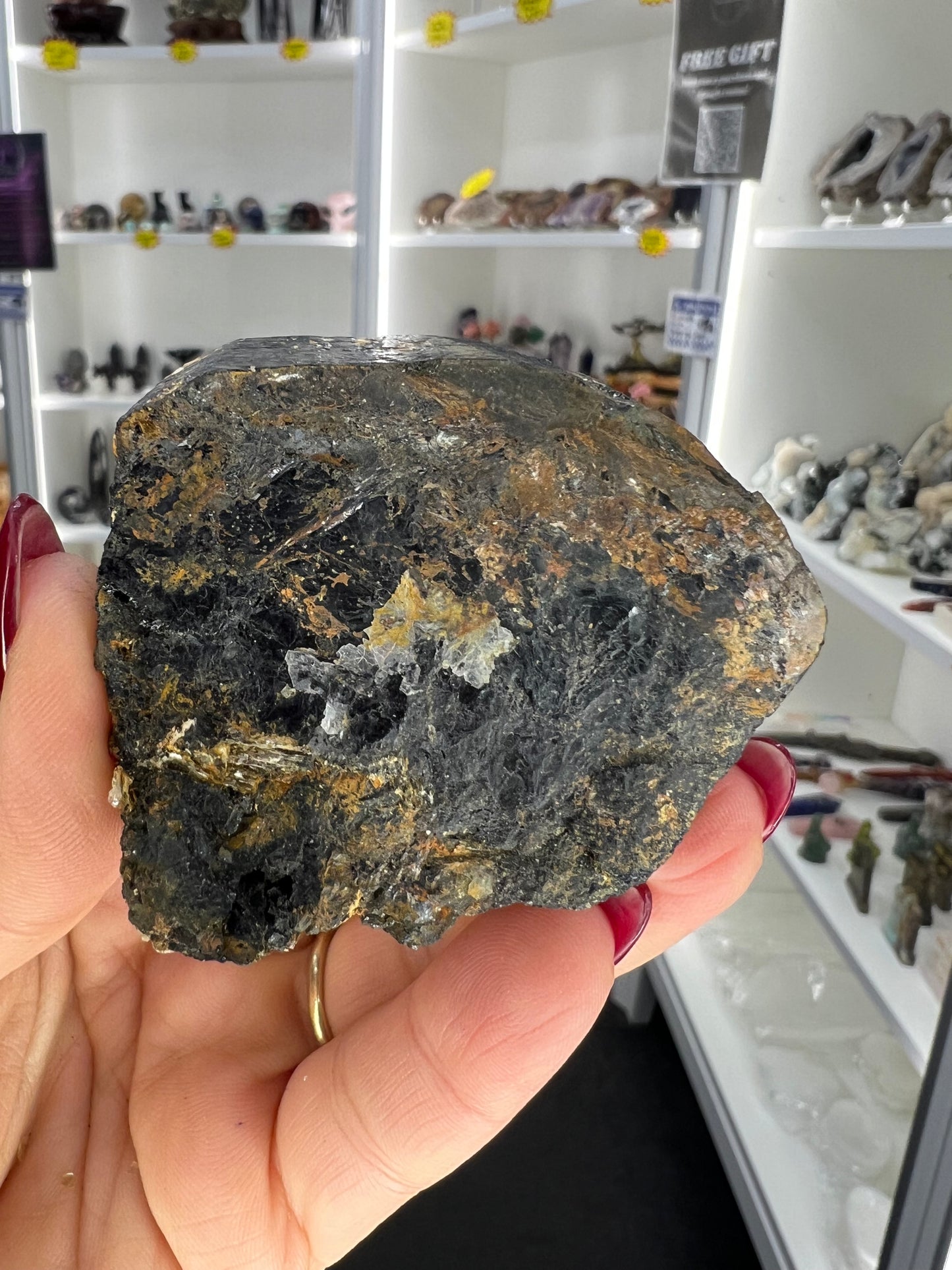 Black Tourmaline with Golden Mica Specimen