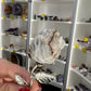 Mexican Lace Agate Forever Rose