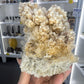 Gypsum Cluster Specimen