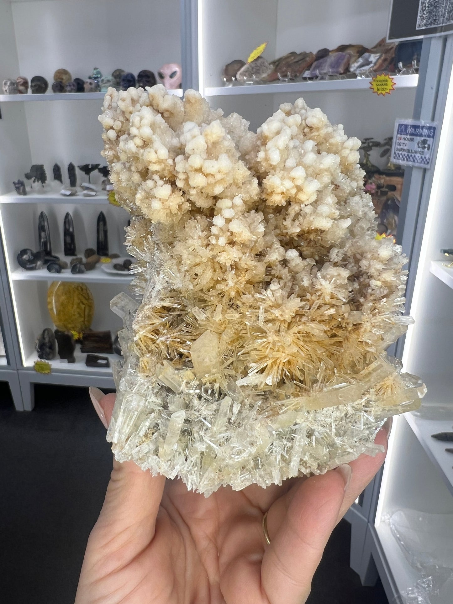 Gypsum Cluster Specimen