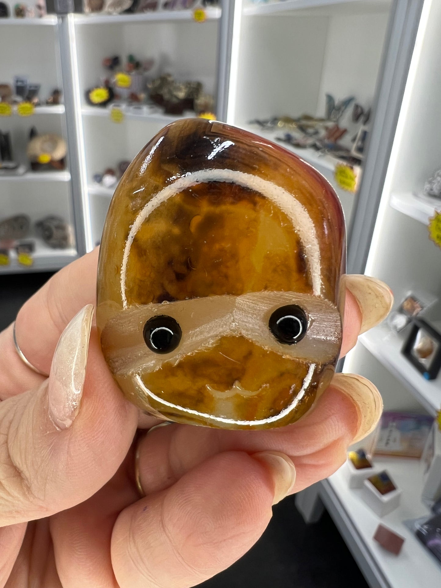 Sardonyx Little Guy