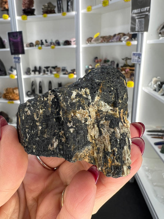Black Tourmaline with Golden Mica Specimen