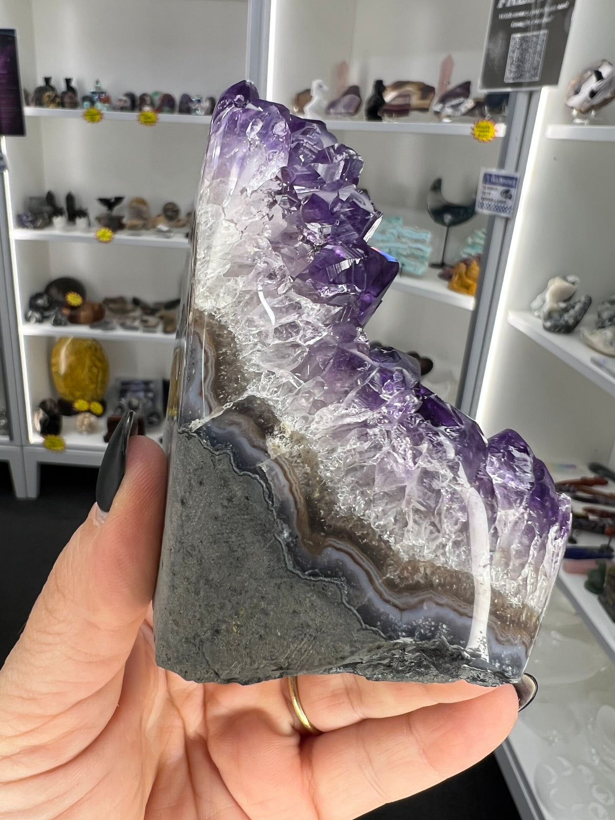 Amethyst Cluster Specimen