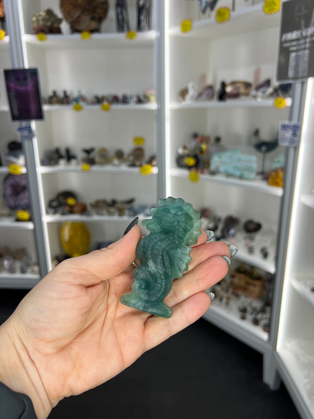 Fluorite Seahorse
