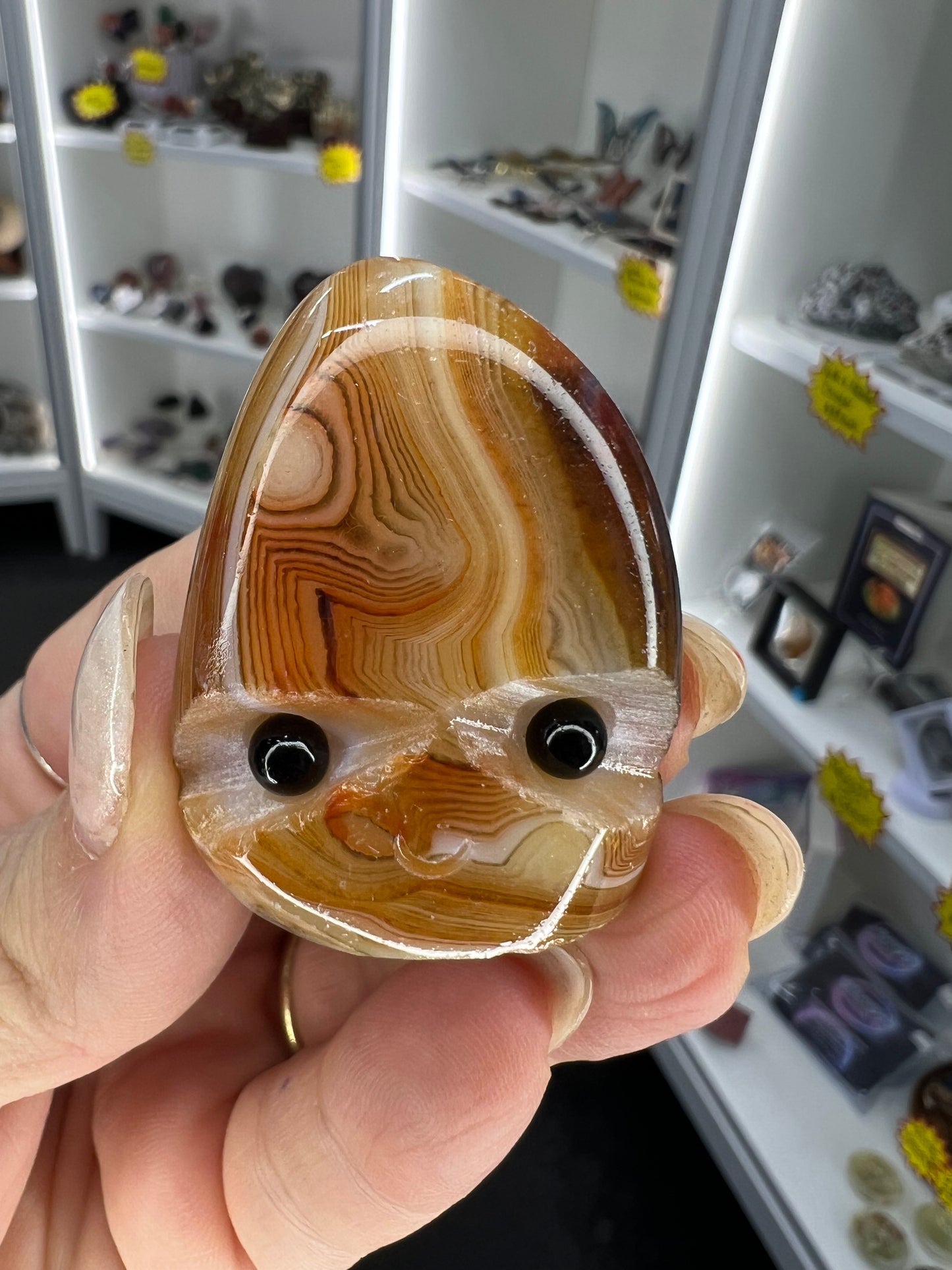 Sardonyx Little Guy