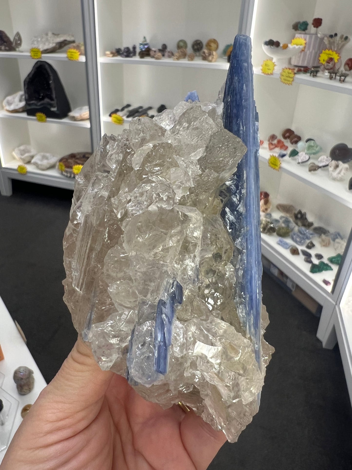 Blue Kyanite x Clear Quartz Specimen