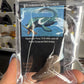 Mosasaurus Anceps Tooth