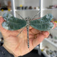 Moss Agate Dragonfly