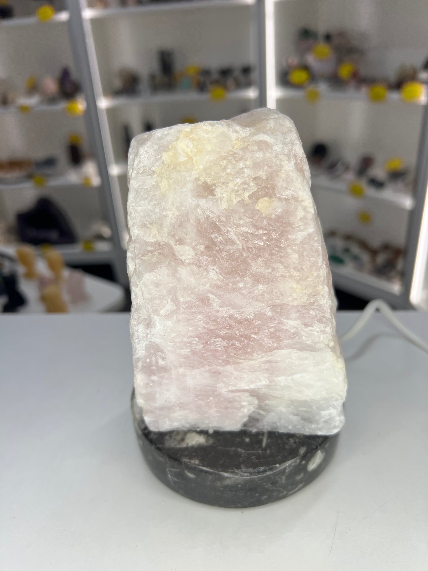 Rose Quartz Lamp on Fossil Orthoceras Base