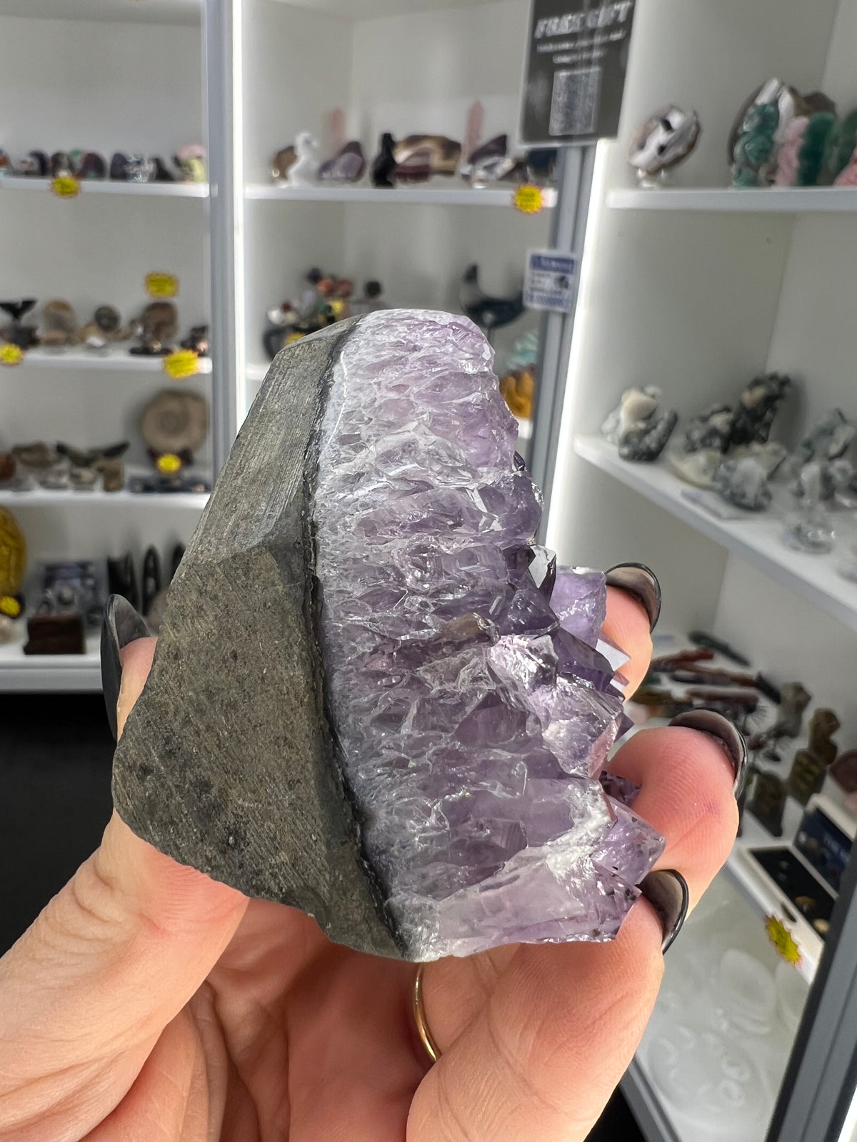 Amethyst Cluster Specimen