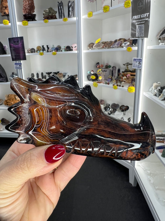 Sardonyx Dragon Skull
