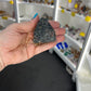 Black Tourmaline Raw Chunk