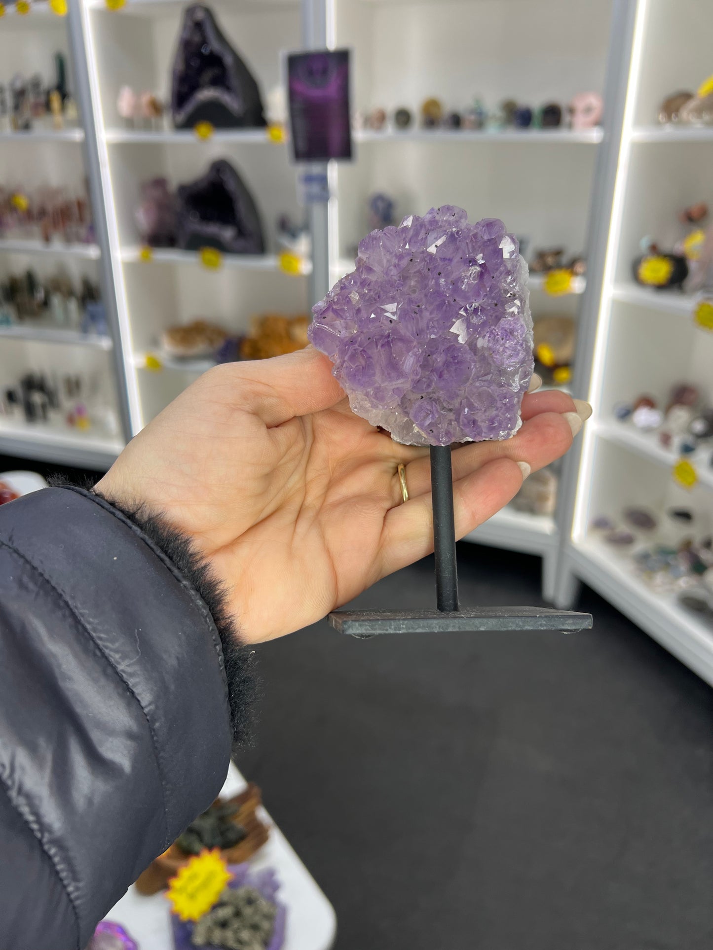 Amethyst Cluster Specimen on Stand