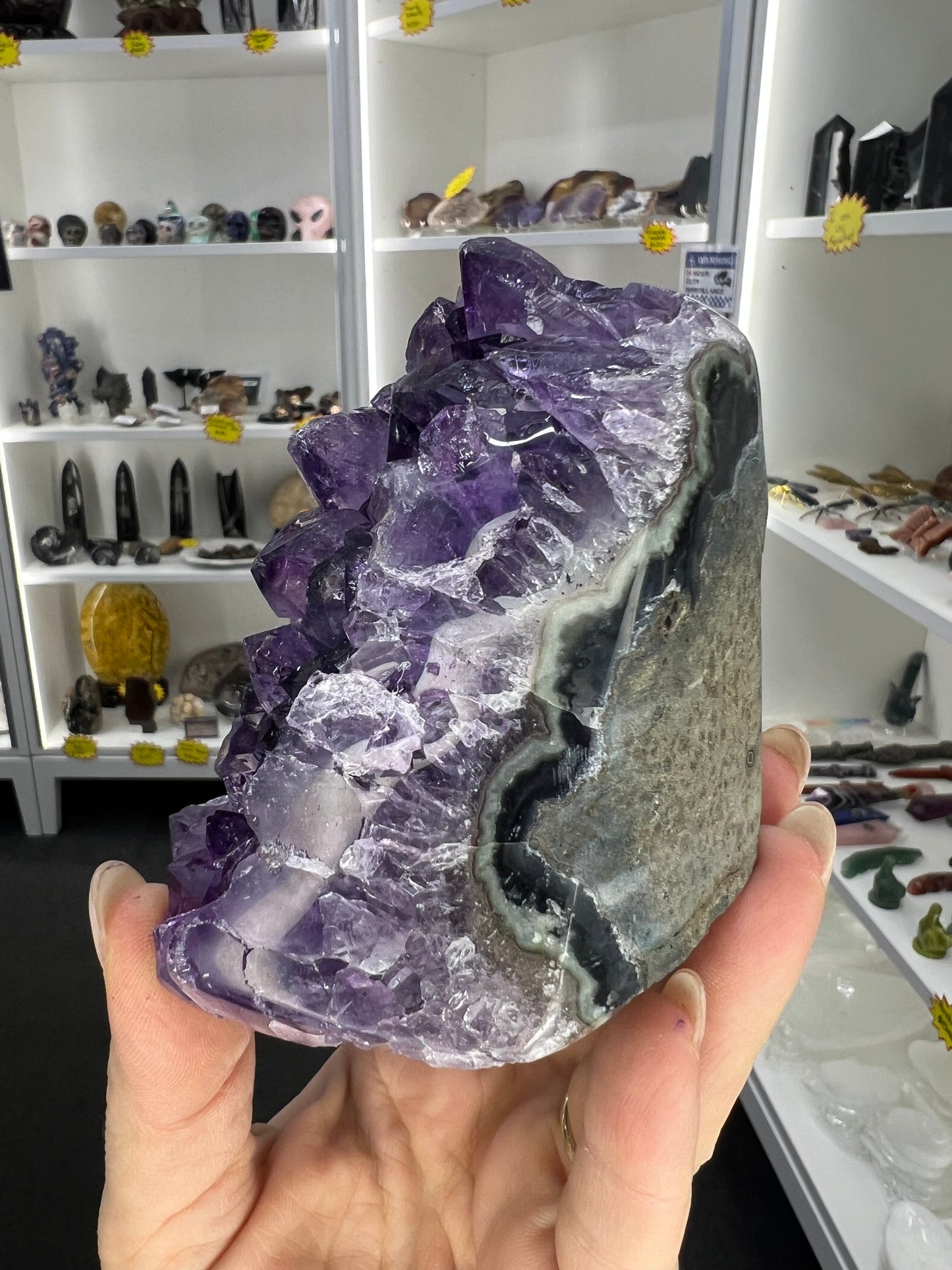 Amethyst Cluster Specimen