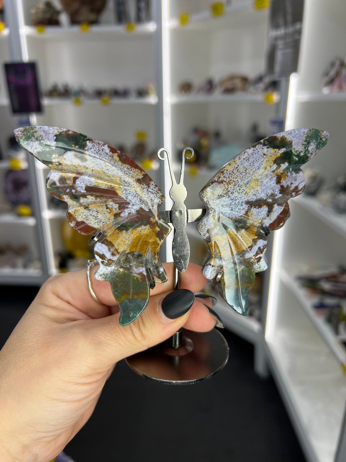 Ocean Jasper Butterfly
