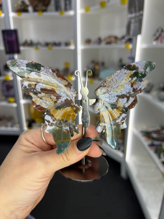 Ocean Jasper Butterfly