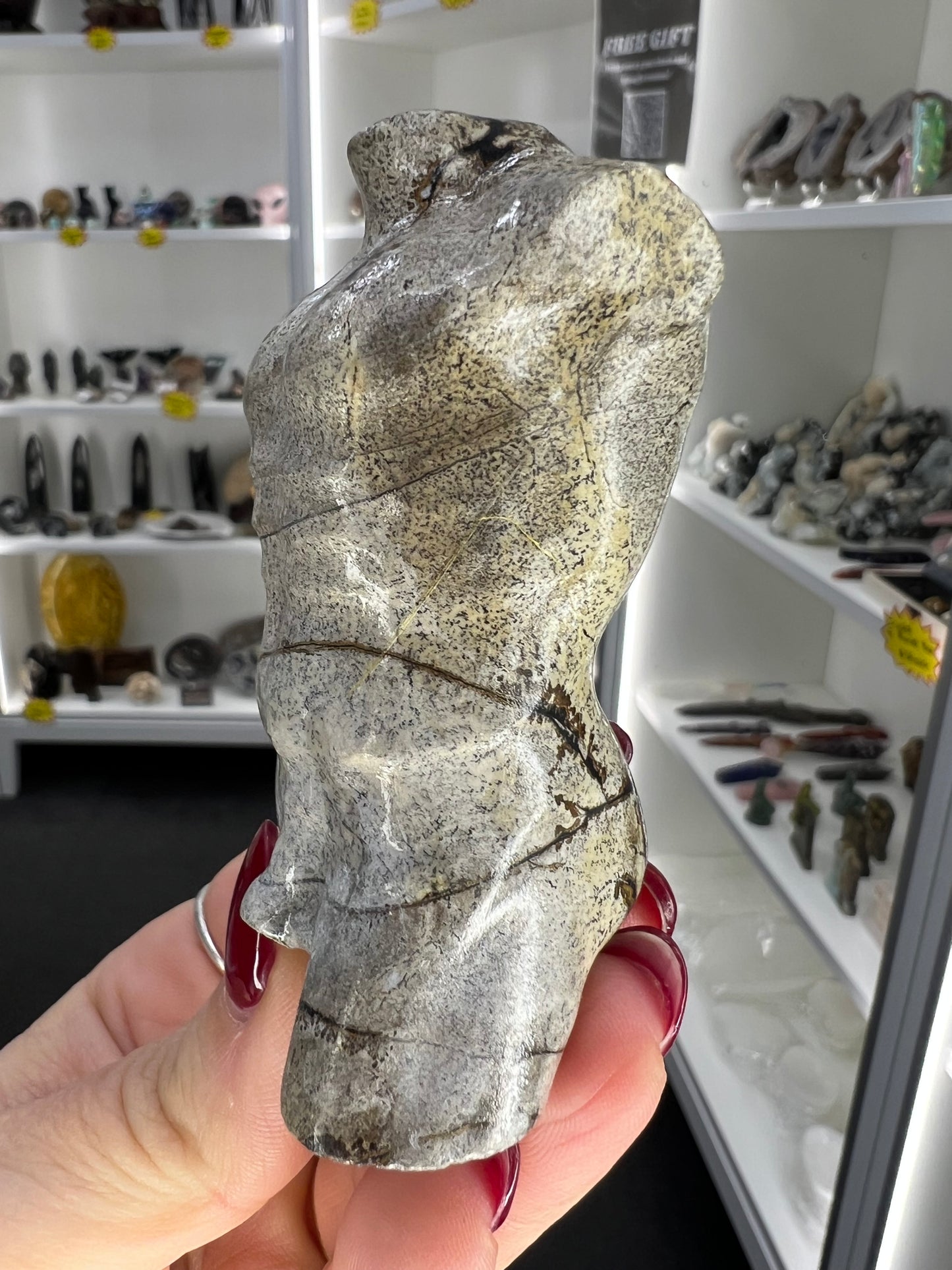 Picture Jasper Male Body
