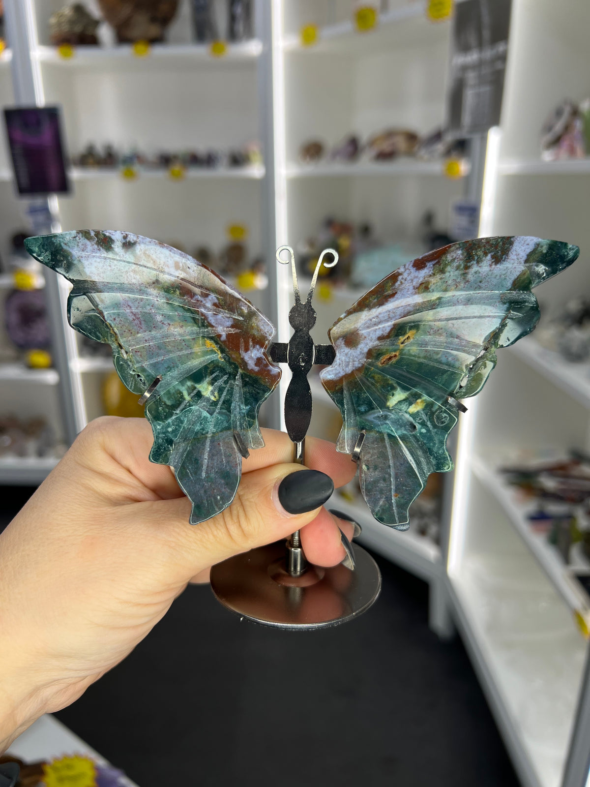 Ocean Jasper Butterfly