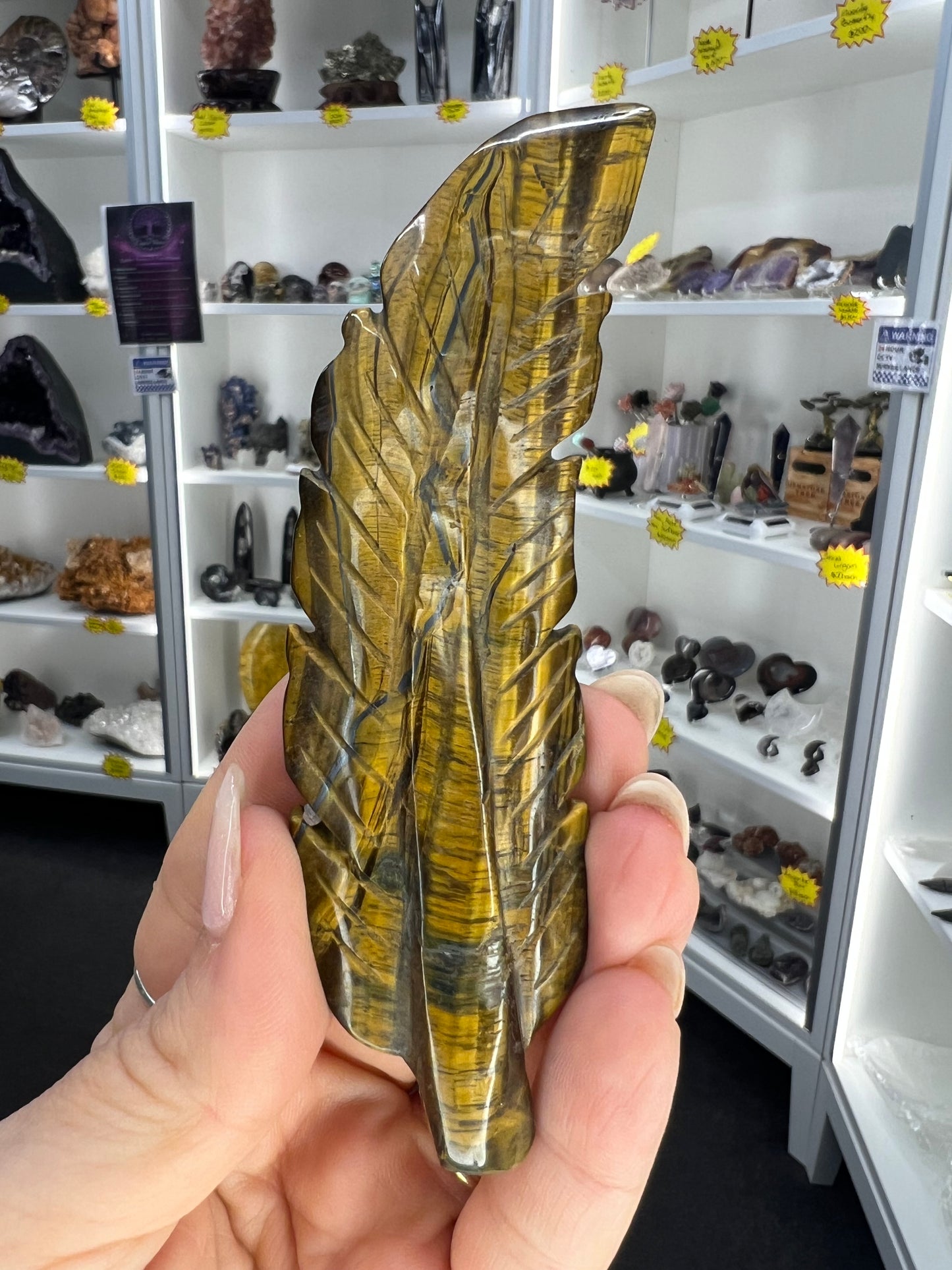 Tigers Eye Feather
