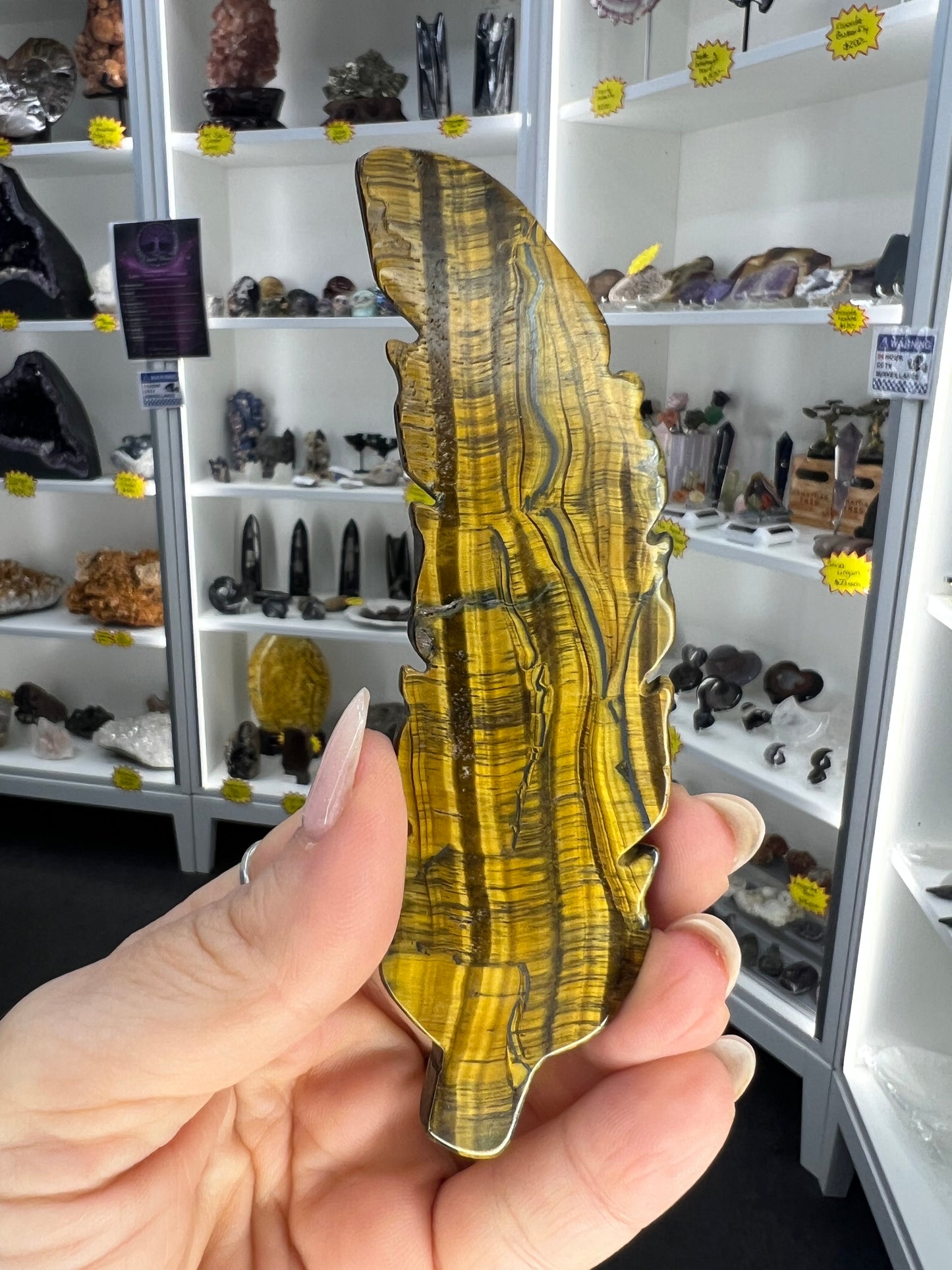 Tigers Eye Feather