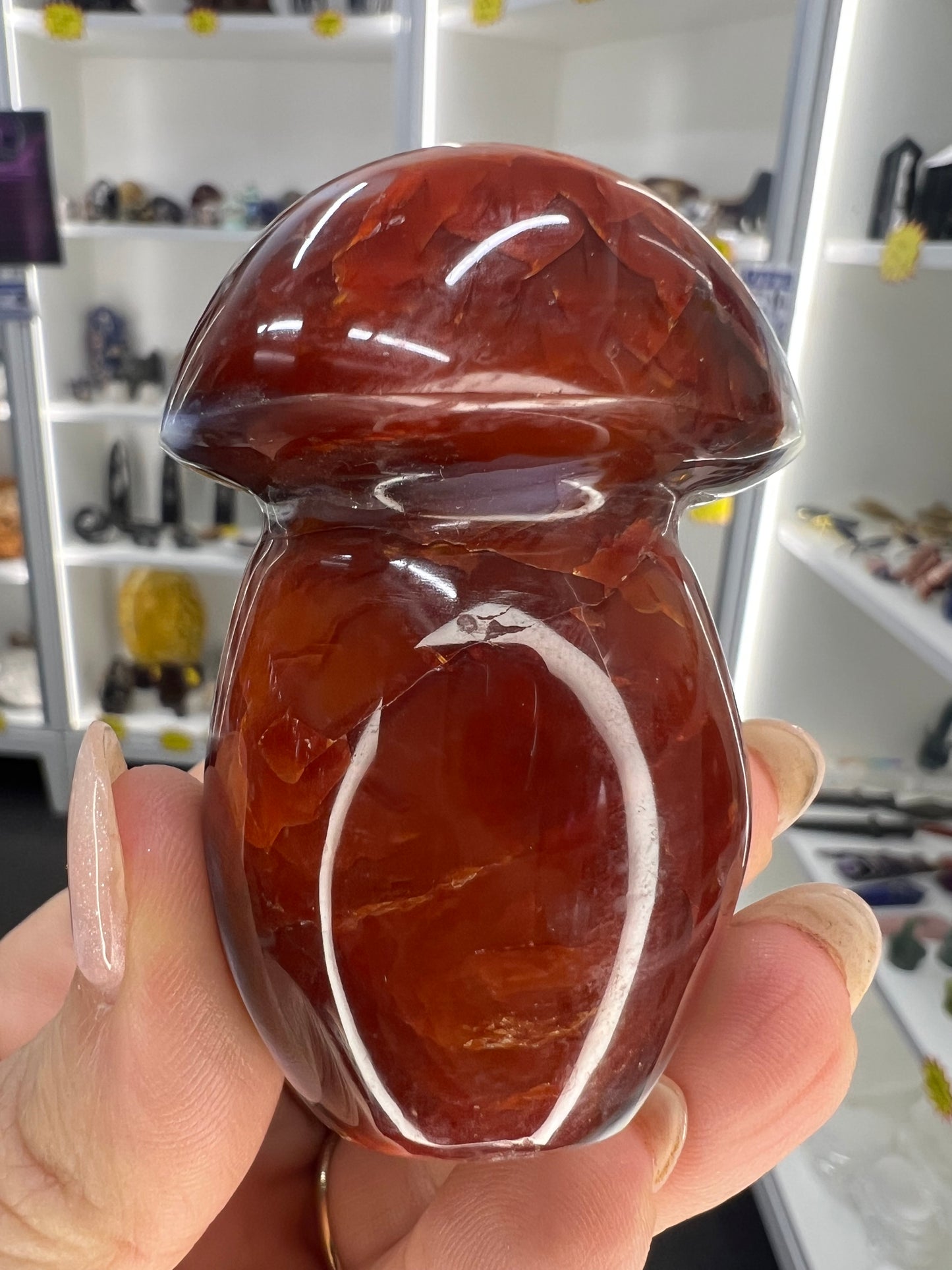 Carnelian Mushroom