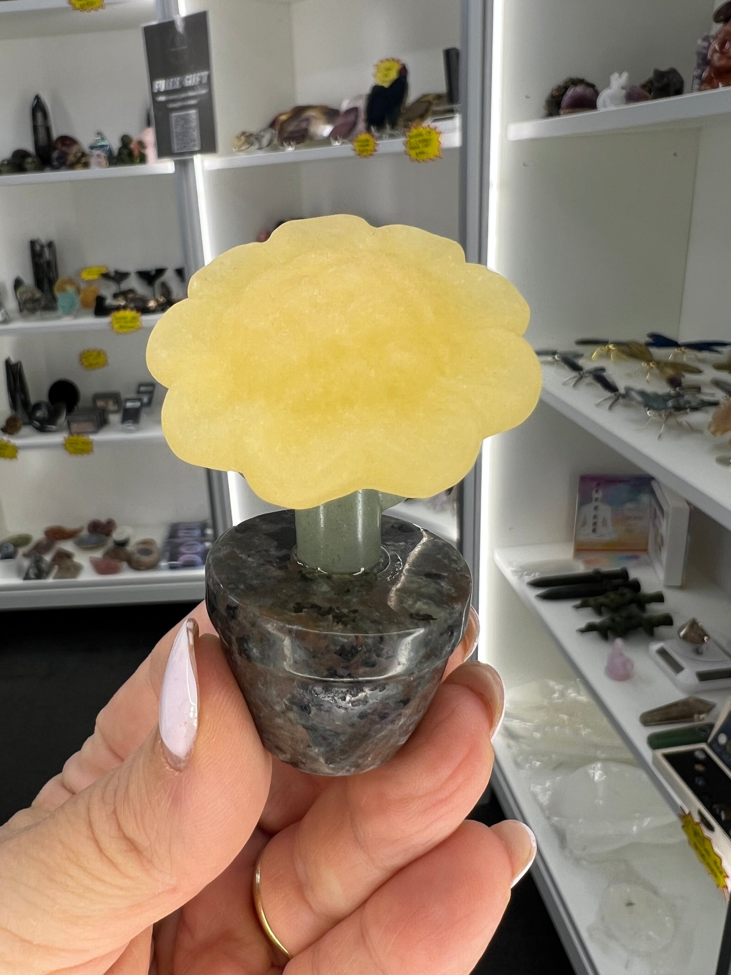 Yellow Calcite / Green Aventurine / Yooperlite Sunflower in Pot