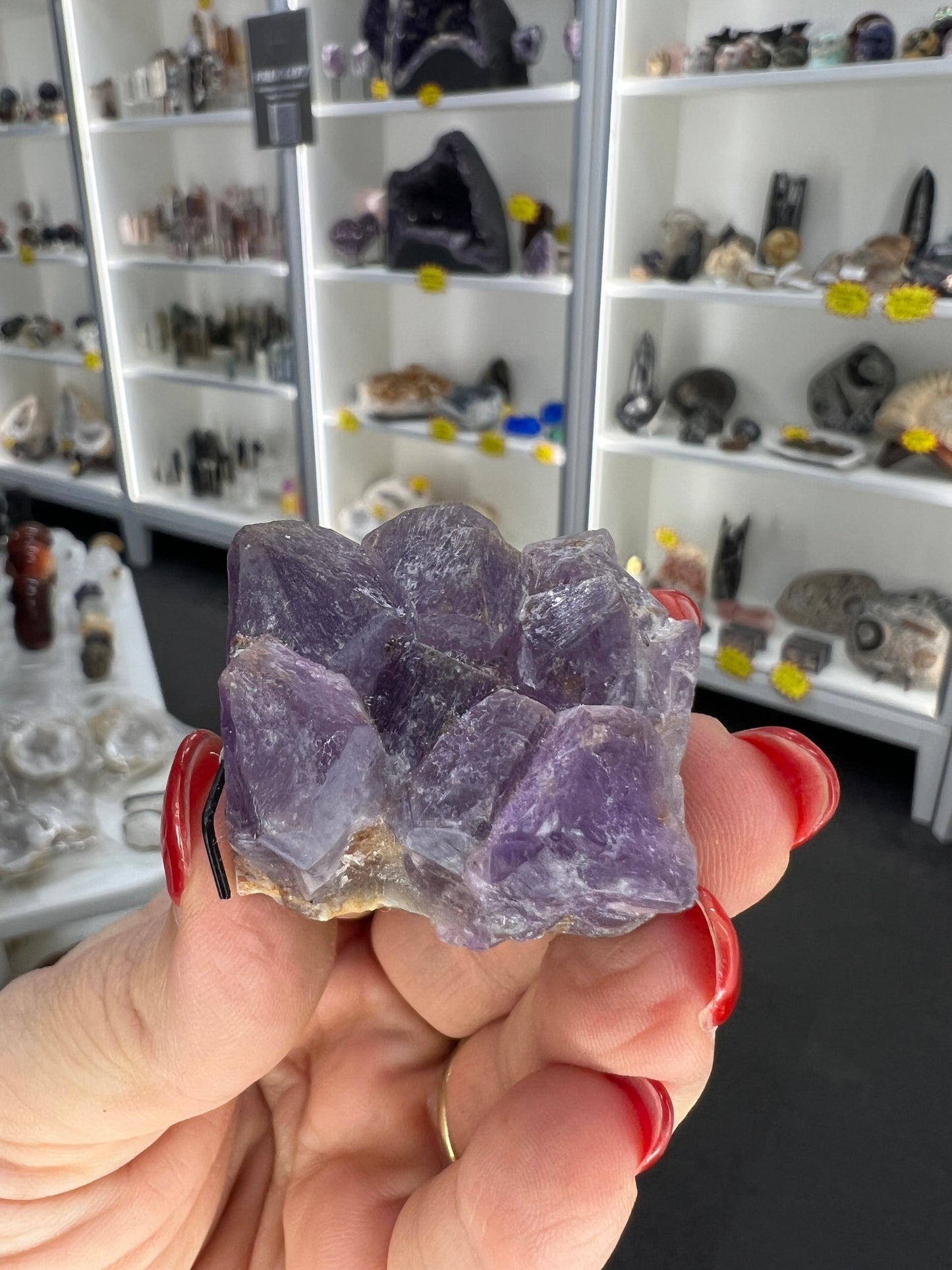 Amethyst Little Guy